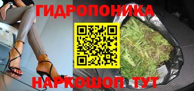 прущие крисы Аргун