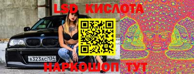 прущие крисы Аргун