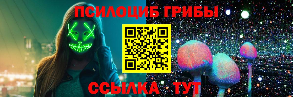 Галлюциногенные грибы прущие грибы Ачхой-Мартан